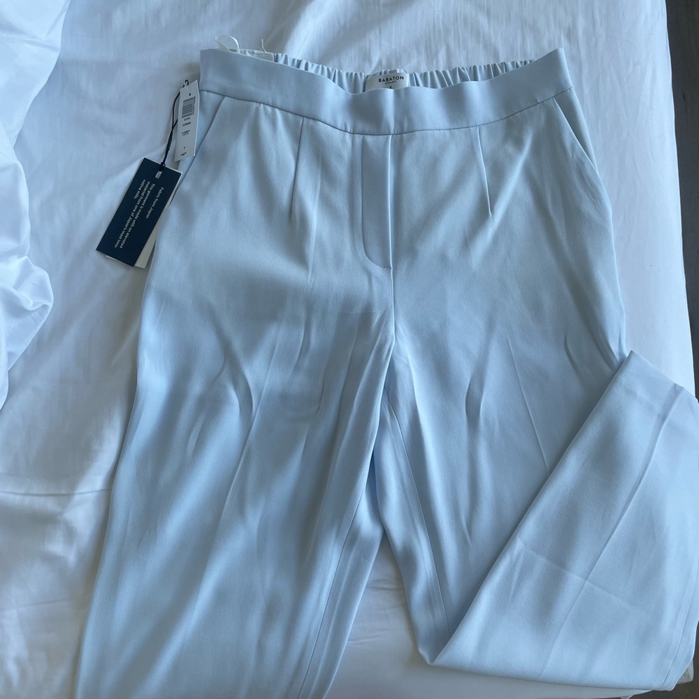 NWT. Babaton Conan Pants